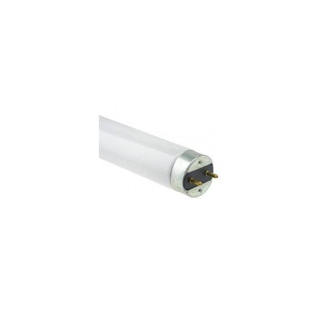 WX-EFZY-4 Interlight Accessories